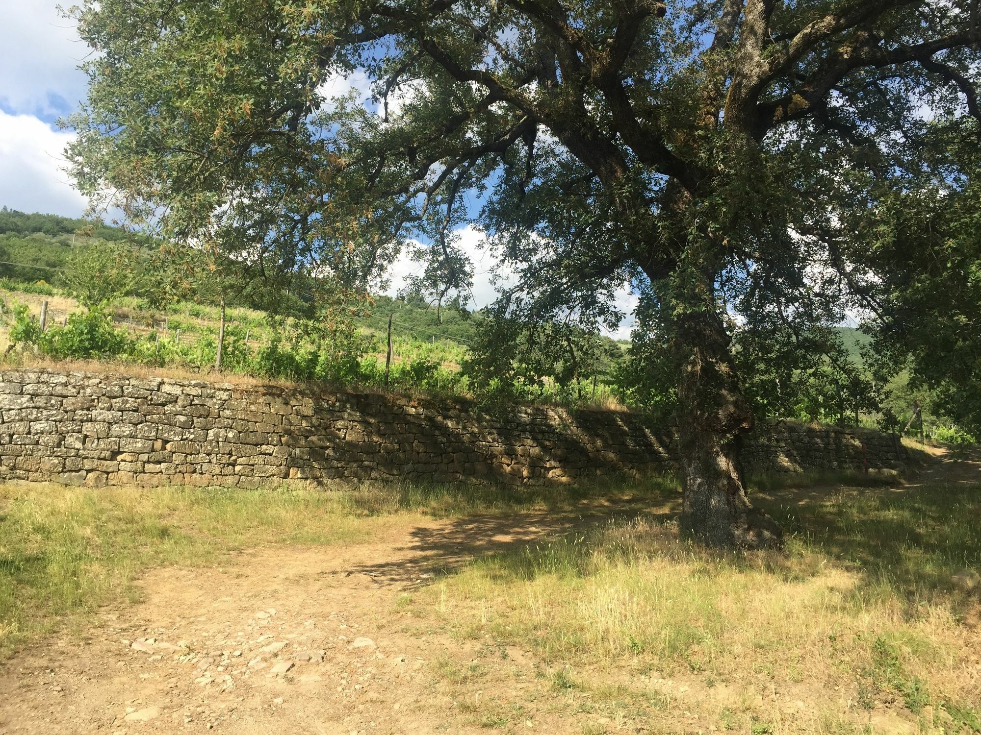 Villa La Grotta San Giustino Valdarno Luaran gambar